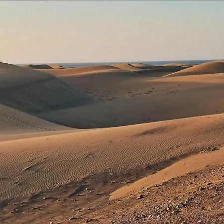 شقة In The Heart Of Playa Del Ingles